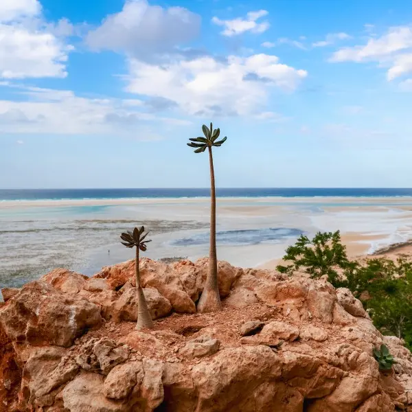 קורל קוסט: גן עדן טרופי עם חופים קסומים וחוויות מרגשות