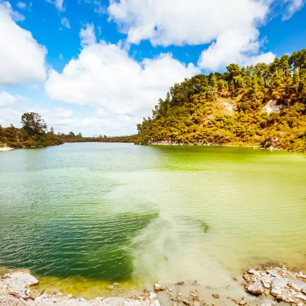 גלו את הקסם הגיאותרמי ברוטורואה – חוויה אותנטית בניו זילנד!