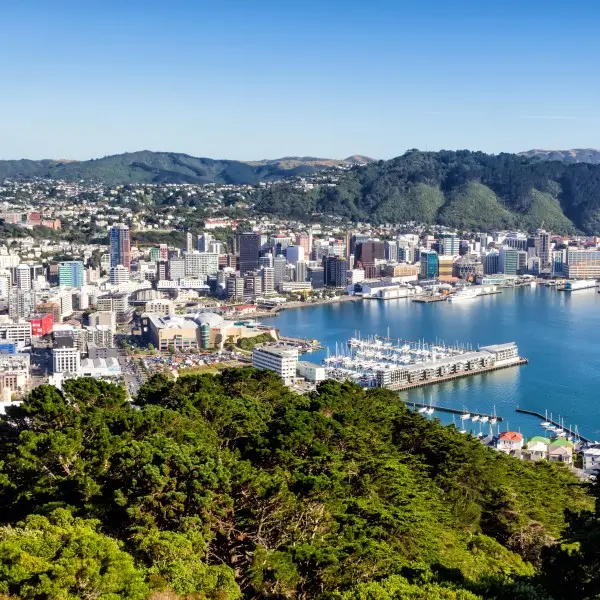 וולינגטון: הלב התרבותי והטבעי הפועם של ניו זילנד!